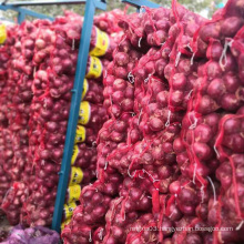 Best Quality Wholesale cheap Price Fresh Red Onion